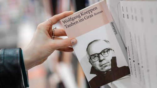 "Tauben im Gras": Lehrerin verweigert Lektüre im Unterricht