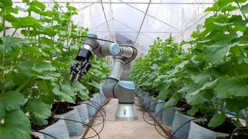 Australia's report on agtech confirms technology can lead to a fertile future