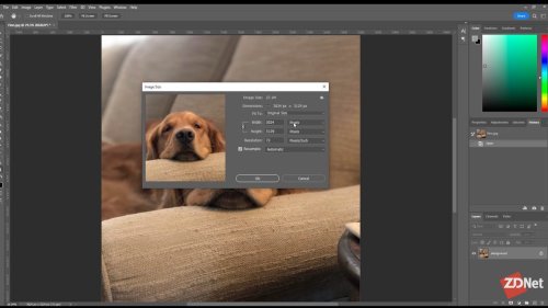 How to resize your image in Photoshop, plus a free option - Video
