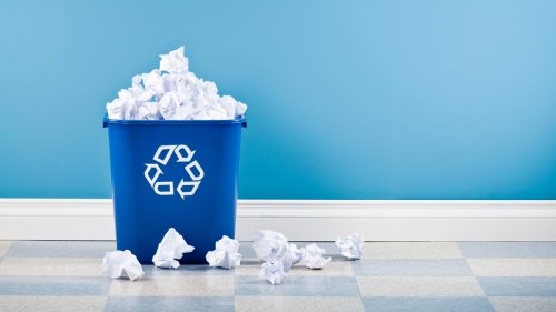 The 12 Windows apps I keep (and the 11 I dump) on every new install