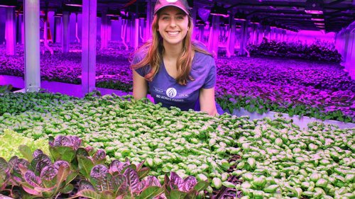 Robotic indoor farms can grow food anywhere, anytime