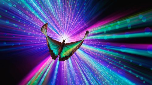 AI Transformation - cover