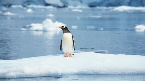How to set up remote desktop access on your Linux computers