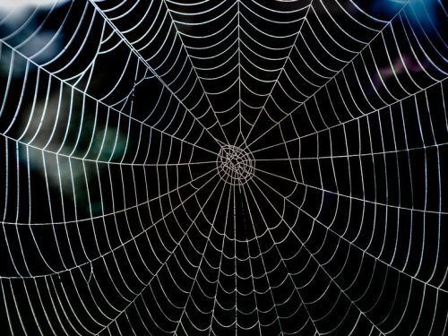 Wizard Spider hackers hire cold callers to scare ransomware victims into paying up