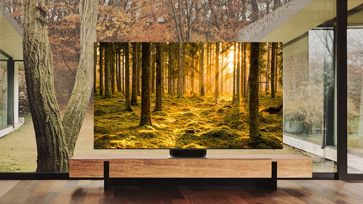 OLED vs QLED Which is Better? Business News