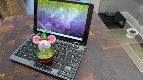 I installed Linux on a mini laptop, and it brought me back to the Netbook's golden days