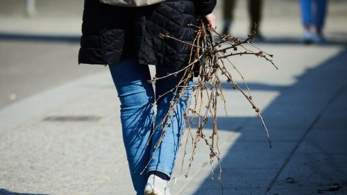 Wetter: Frühling hält in Berlin und Brandenburg Einzug