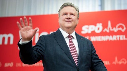 Gemeinderatswahl in Wien: Probleme? Doch nicht in Wien