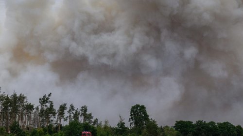 Katastrophenschutz: Löschflugzeug im Harz war bei sechs Bränden im Einsatz