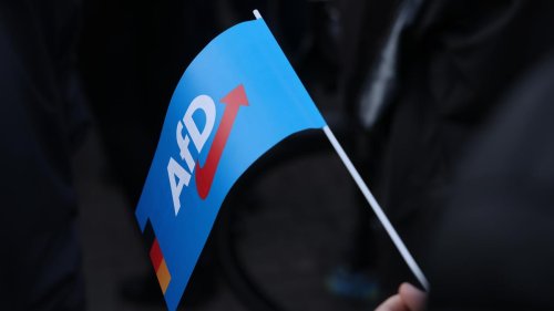 Umgang mit der AfD: CDU-Chef von Mecklenburg-Vorpommern sieht keine Brandmauer zur AfD
