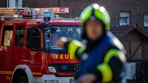 Brände: Waldbrand im Landkreis Germersheim