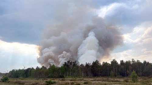Waldbrände: Feuerwehr kämpft weiter gegen Waldbrand in Jüterbog