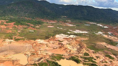 Zerstörung im Regenwald: Was der Gold-Boom im Amazonas anrichtet