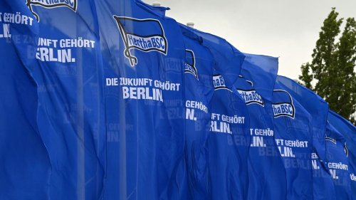 Vereinsstruktur: Experte über Hertha: Nicht nachhaltig und effizient