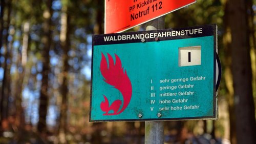2024 fast 35 Hektar zerstört: Waldbrandgefahr: Frühwarnsysteme in Thüringen unnötig