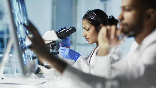 Fachkräftemangel: "Ausbildungsberufe sind oft lukrativer als Jobs für Akademiker"