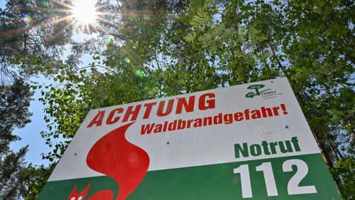 Brände: Hohe Waldbrandgefahr in Teilen Mecklenburg-Vorpommerns