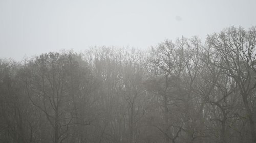 Wettervorhersage: Glätte, Frost und Nebel in Brandenburg und Berlin
