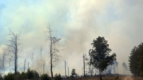 Löscheinsatz: Waldbrand bei Jüterbog dehnt sich stark aus