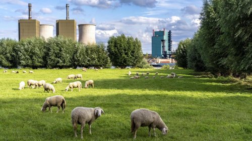 Gaskraftwerke: Vollgas für Deutschland