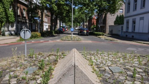 Nachbarländer: Niederlande und NRW treffen sich zu Konsultationen