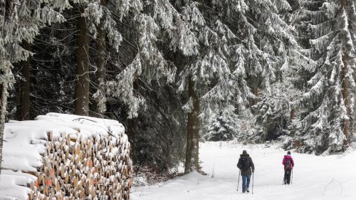 Wetter: Schnee im Thüringer Bergland