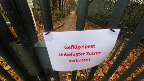 Geflügelpest: Zoo Berlin: Noch kein Licht am Ende des Tunnels