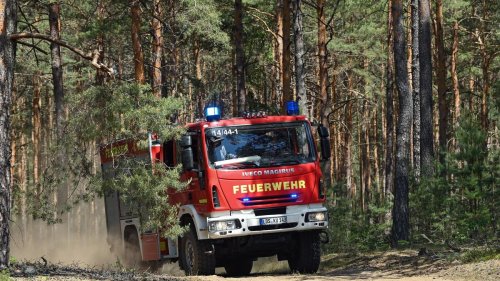 Ausfall einer Wasserpumpe: Feuerwehr versorgt Tiere im Hanauer Wildpark mit Wasser