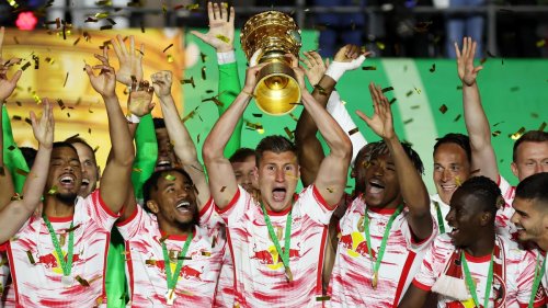 DFB-Pokal: Kein Märchen, eine Businessstory