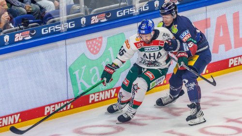 Deutsche Eishockey Liga: Augsburger Panther verabschieden Trio