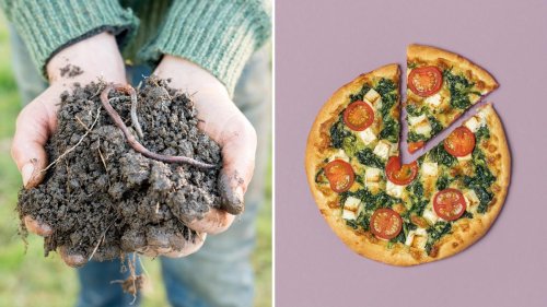Grüne Woche: Ohne Würmer keine Pizza