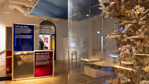 Klimakrise: Ausstellungsprojekt zu Korallenriffen im Senckenberg Museum