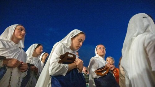 Fotografie: Bilder des Tages