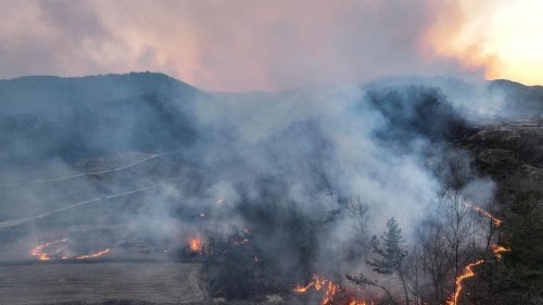Notfälle: Vier Tote und sechs Verletzte bei Waldbränden in Südkorea