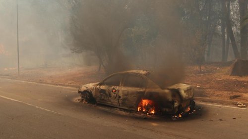 Hitzewelle: Mindestens 13 Tote durch Waldbrände in Chile