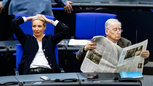 Politische Debatte über die AfD: Und täglich grüßt die Opferrolle