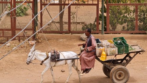 Hunger: UN warnen vor Gefahr von Hungersnot im Sudan und anderen Ländern