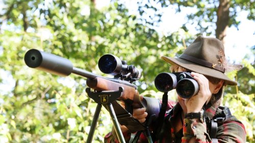 Jagdverband: Zahl der Jägerprüfungen in Brandenburg deutlich gestiegen