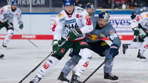 Deutsche Eishockey Liga: Augsburger Panther geben Oblinger keinen neuen Vertrag