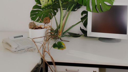 Arbeitszeit: Und wo liegt da jetzt das Problem?
