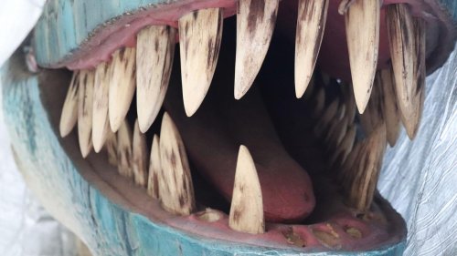 "Jurassic Park": Tierpark Berlin plant Ausstellung mit Dinos