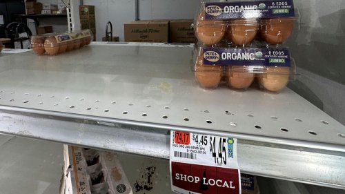 Eierknappheit: Ostern in den USA - Eier oder Kartoffeln färben?