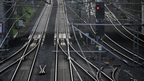 Bahn: Kuh legt Bahnverkehr rund um Duisburg lahm