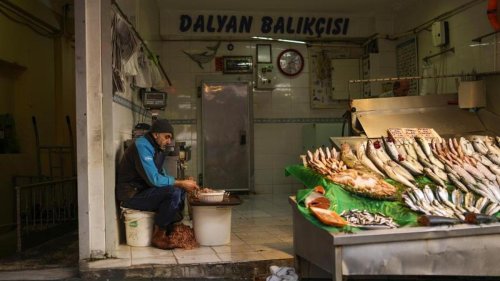 Notenbank tagt: Türkei: Lockere Geldpolitik trotz Rekordinflation?