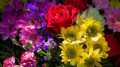 Handel: Vor dem Muttertag: Blumen werden immer öfter zum "Luxusgut"