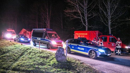 Schwarzwald: Zweijähriger nach Suchaktion unverletzt im Wald gefunden