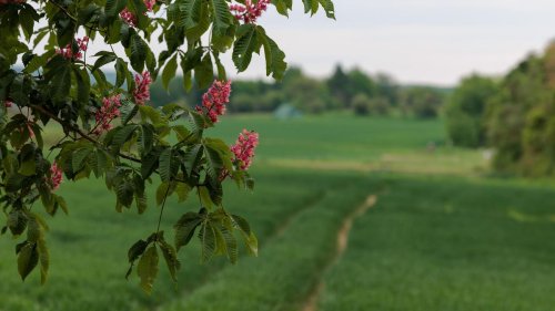 Wetter zum Ende der Woche: Wolken und bis zu 21 Grad - vereinzelt auch Regen