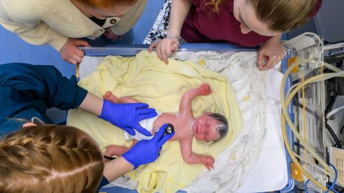 Gesundheit: Angehende Hebammen üben in neuem Simulationslabor in Halle