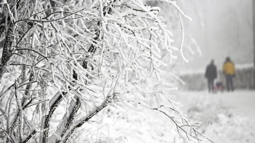 Deutscher Wetterdienst: Frost, Schnee und Regen am Wochenende in Sachsen-Anhalt