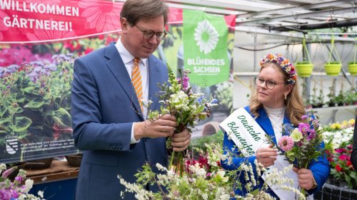 Gartenbaubranche: Minister wirbt für Blühendes aus Sachsen in Beet und Topf